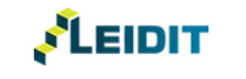 Leidit